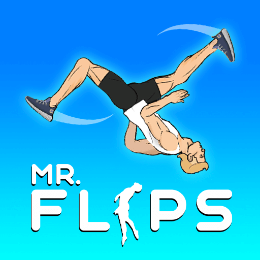 Mr. Flip